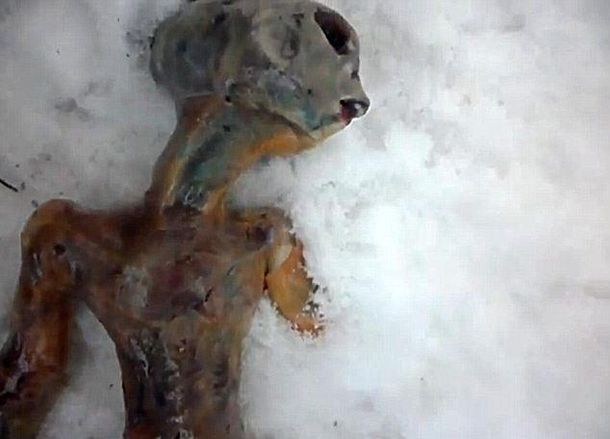 Alien siberia fake