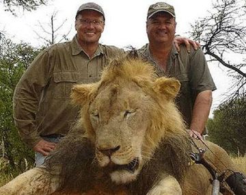 Injusto: Zimbabwe al final no juzgará al dentista que mató al león Cecil