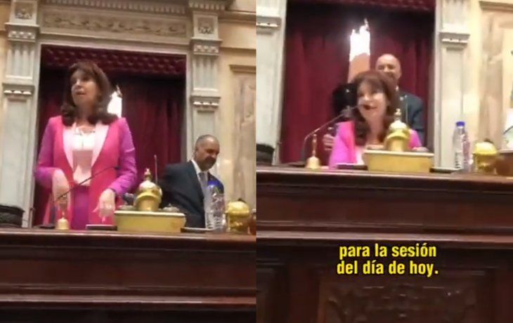 Picante cruce de Cristina con Lousteau en el Senado