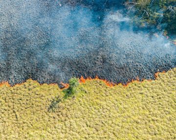 Incendios en Corrientes: el Gobierno nacional desplegó brigadistas