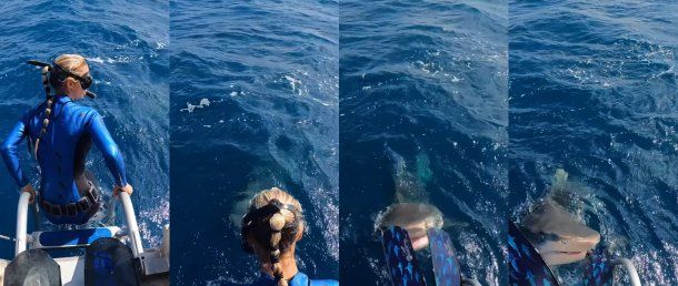 Viral: una buceadora esquivó el ataque de un tiburón