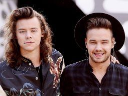 Harry Styles y Liam Payne, en pleno éxito de One Direction.