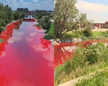 Preocupación en Avellaneda: el arroyo Sarandí se tiñó de rojo