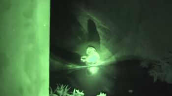 emocionante rescate a un perro que vivia en las alcantarillas emocionante rescate a un perro que vivia en las alcantarillas