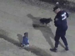 encontraron a un bebe gateando solo en la calle en plena madrugada