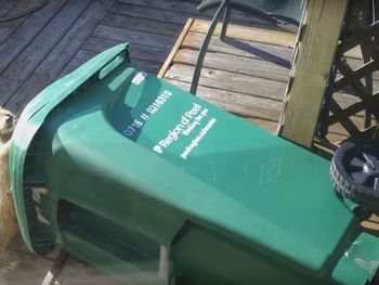 VIDEO: La lucha de un mapache con un tacho