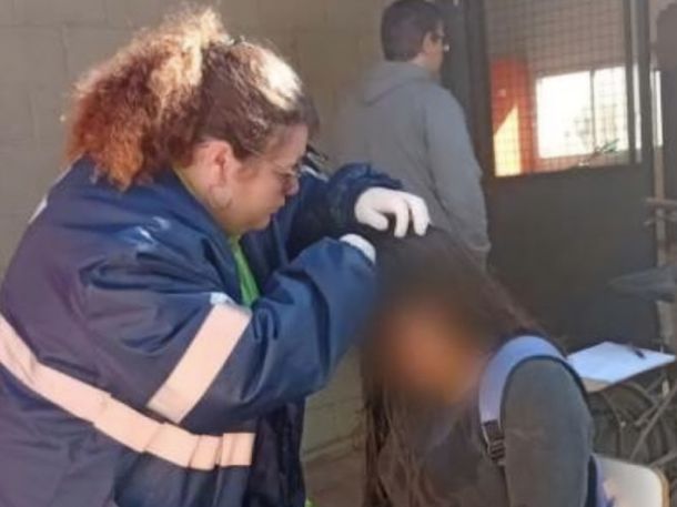 Una mujer atacó a cadenazos a una chica de 14 años en una escuela de Junín