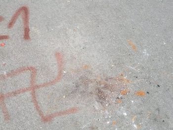 Egresados marplatenses vandalizaron su escuela: pintaron una esvástica