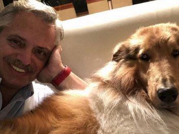 El perro Dylan negó tener un adiestrador y aseguró que Clarín miente