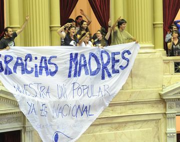Diputados aprobó la estatización de la Universidad de las Madres