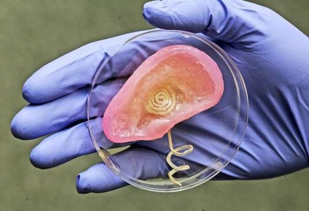 ¿Cuáles son las tecnologías que pueden prolongar la vida de los seres humanos?