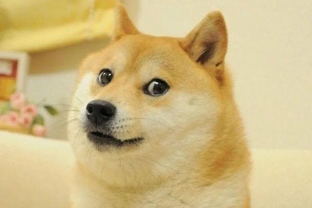 El sorpresivo cambio de Twitter que favoreció a la criptomoneda DogeCoin