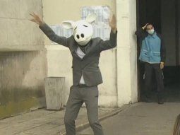 El Chancho Bailarín que apareció en la Facultad de Derecho donde votó Rodríguez Larreta