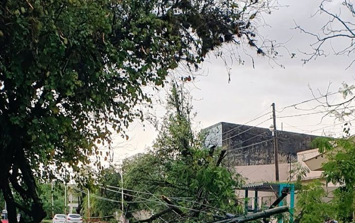 Viento, lluvia y granizo causaron caída de árboles y voladuras de techos