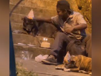 Viral que emociona: el video del cumpleaños de los perros