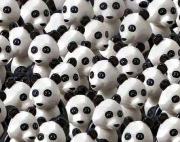 Encontrá un perro entre los pandas