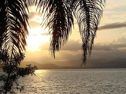 investigan si argentinos son victimas del trabajo esclavo en brasil investigan si argentinos son victimas del trabajo esclavo en brasil