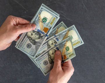 Billeteras virtuales suspenden venta del dólar oficial: qué dijo el BCRA
