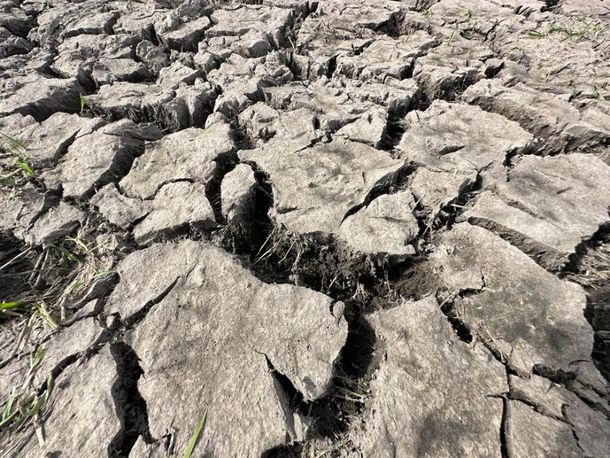 Los departamentos de Canelones y Lavalleja son los más comprometidos de Uruguay.