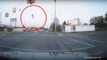 Un ganso recibió el impacto de un rayo mortal Un ganso recibió el impacto de un rayo mortal