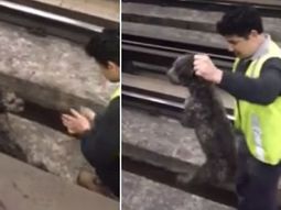 emotivo rescate en un subte: lo siento por el retraso, pero no podia matar a un perro emotivo rescate en un subte: lo siento por el retraso, pero no podia matar a un perro