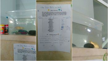 Pesesín, el viral del día Pesesín, el viral del día