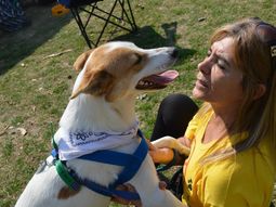 refugios de animales: cuando el amor derrota a la indiferencia y al maltrato refugios de animales: cuando el amor derrota a la indiferencia y al maltrato