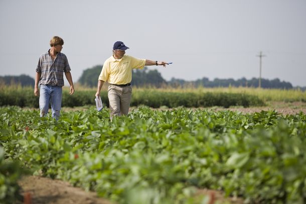 Las retenciones a las exportaciones de soja suben a 33%
