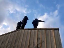 Trabajadores denunciaron la rotura de un caño de gas Trabajadores denunciaron la rotura de un caño de gas