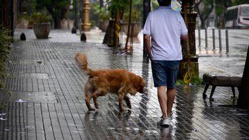 ceso el alerta por tormentas y granizo para la ciudad y el conurbano ceso el alerta por tormentas y granizo para la ciudad y el conurbano