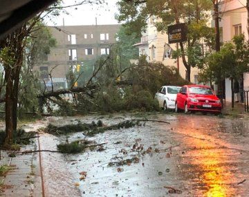 Temporal en el AMBA: se pueden repetir estas imágenes.