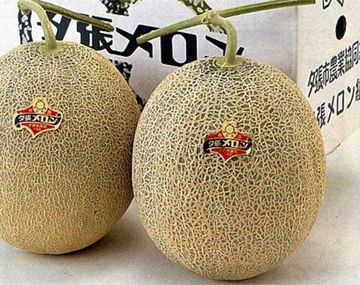 Los melones más caros del mundo