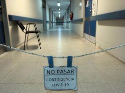 Coronavirus en Argentina: 23.780 casos y 529 muertos en las últimas 24 horas