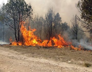 Incendios Córdoba