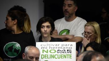 Ley de cannabis medicinal Ley de cannabis medicinal