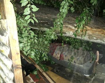 Gentileza @labuenainfo1