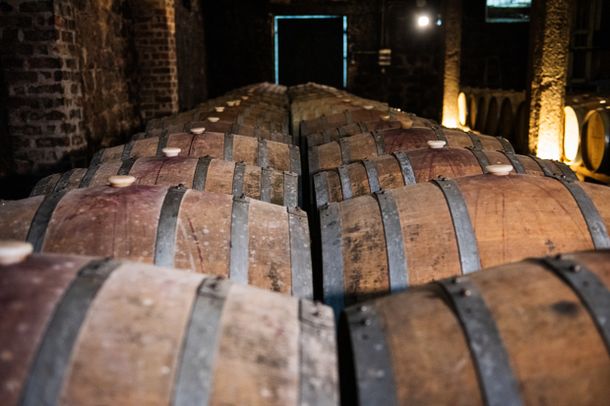 La producción de vinos cayó en Uruguay durante 2023.