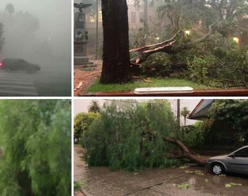 Temporal en Entre Ríos: fotos y video