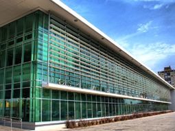 un hombre violo una salida transitoria y ataco a balazos a su ex novia un hombre violo una salida transitoria y ataco a balazos a su ex novia