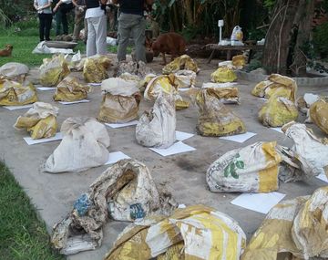 El contrabadista de meteoritos que escapó ayudado por su madre