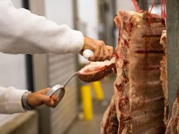 carne de exportacion: la cuota hilton tendra arancel 0% desde el 1° de mayo por el acuerdo mercosur-ue carne de exportacion: la cuota hilton tendra arancel 0% desde el 1° de mayo por el acuerdo mercosur-ue