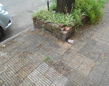 Vecino debe pagar $35 mil porque un nene se tropezó en su vereda