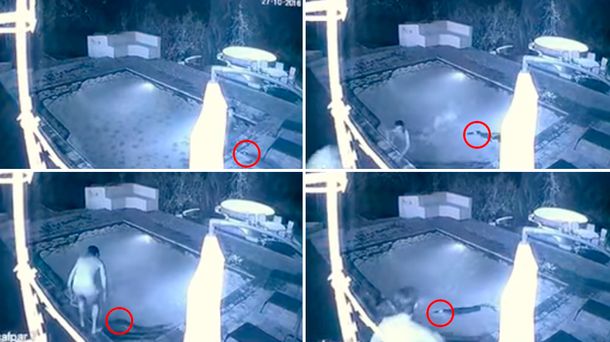 El ataque de un cocodrilo a una pareja en una pileta