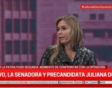 Juliana Di Tullio en C5N: Massa es un trabajador incansable