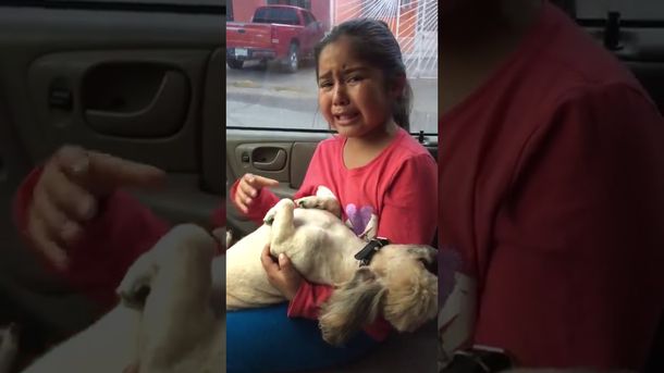 La nena que llora desconsolada por el corte de pelo de su perro