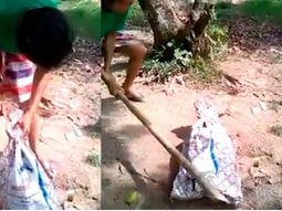 aberrante: mato a un perro y subio el video a facebook, pero solo lo multaron aberrante: mato a un perro y subio el video a facebook, pero solo lo multaron