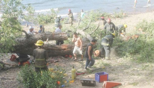 Dos niños murieron aplastados por un árbol mientras jugaban en un camping