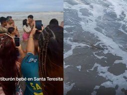 La reacción de una mujer al ver que la gente jugaba con un tiburón bebé