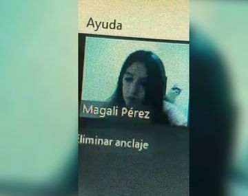 Una chica estaba en una clase online y su gatito la atacó por la espalda