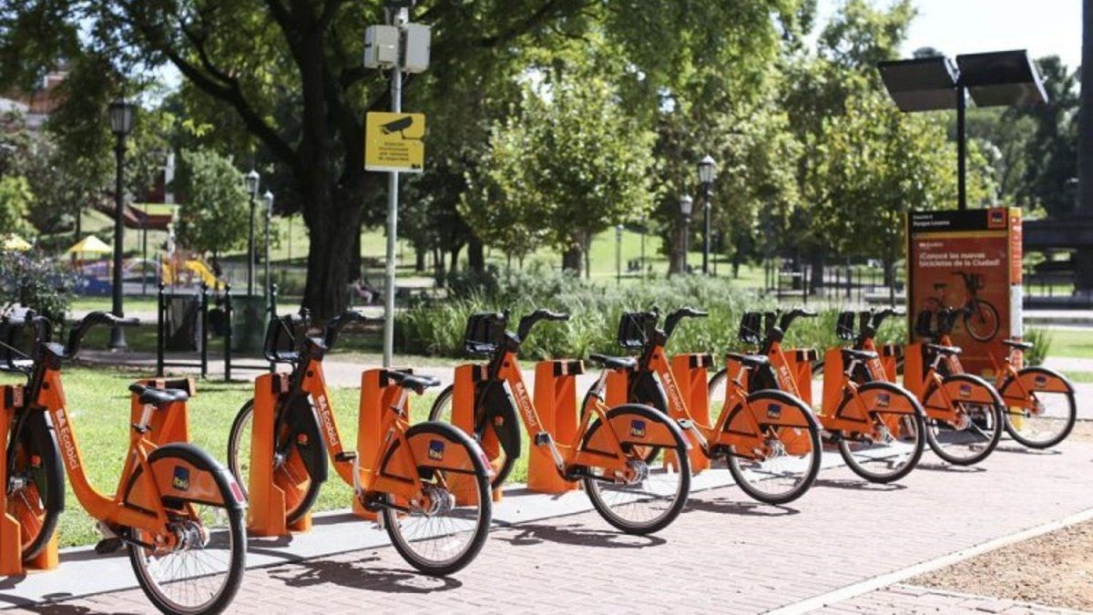 Así Funcionarán Los Servicios Públicos En La Ciudad Este Lunes Feriado 4111